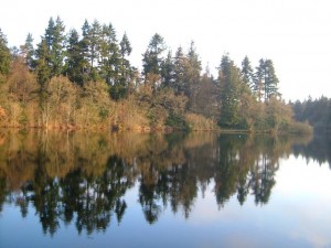Tottiford Reservoir Tottiford Reservoir