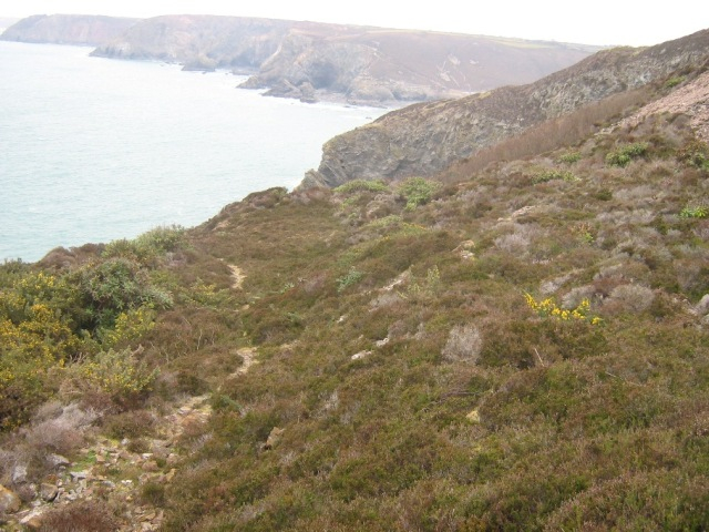 Case study heathland 05 picture